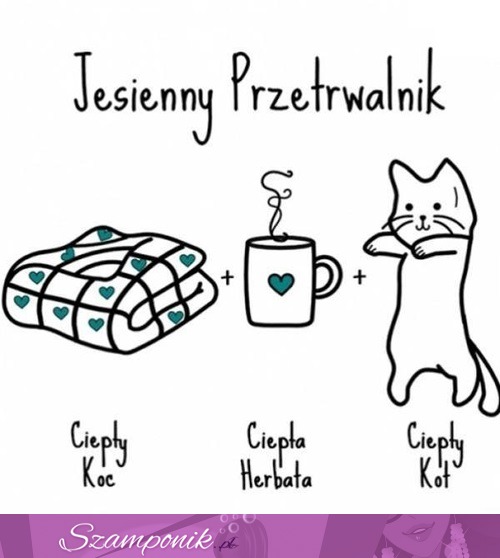 Niezbędnik jesienny