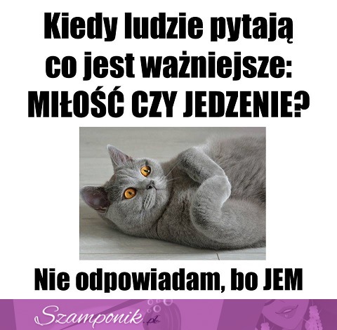 Jedzenie zawsze wygrywa ;)