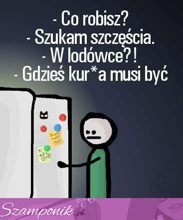 Szczęście w lodówce