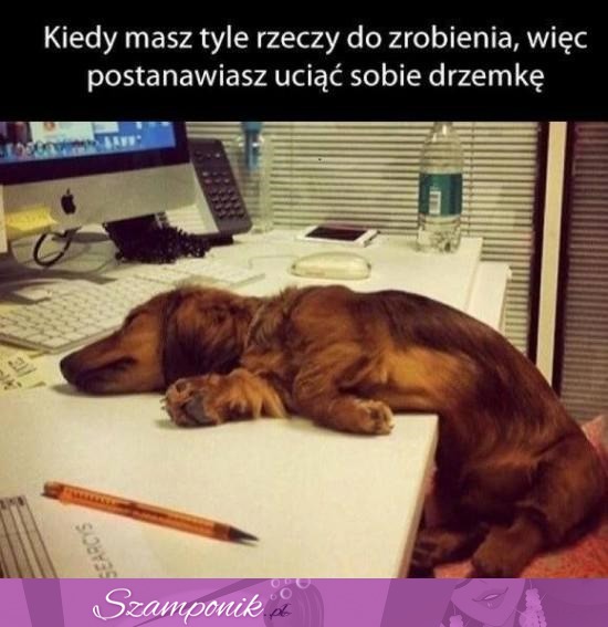 Kiedy masz tyle rzeczy do zrobienia