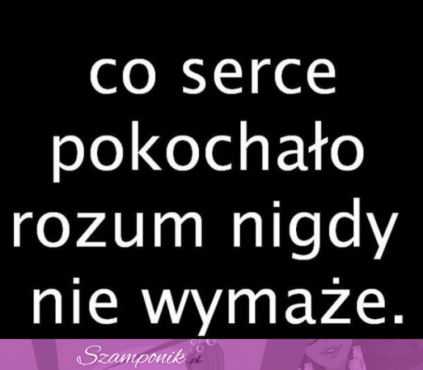 Co serce pokochało...