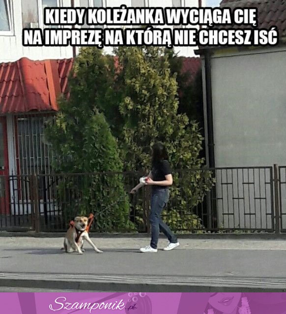 Nie ma tak łatwo