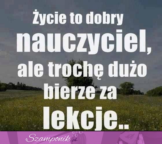 Życie to dobry...