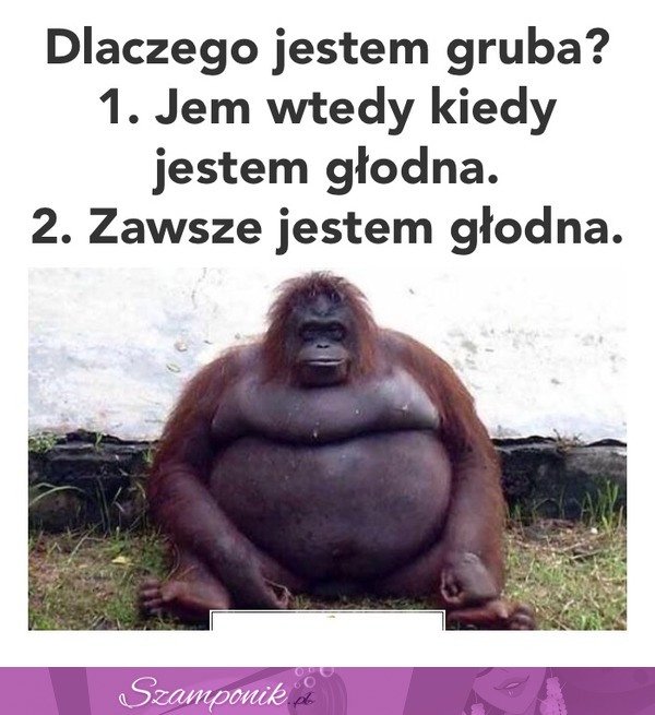 Dlaczego jestem gruba...