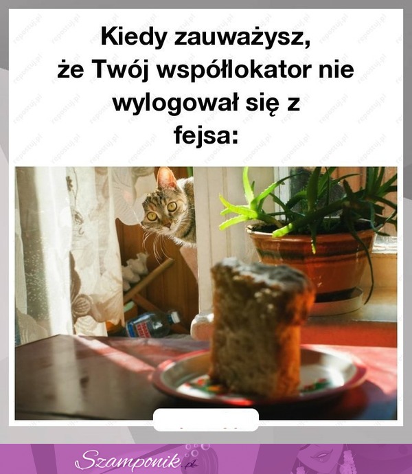 No proszę... Ciekawe :P