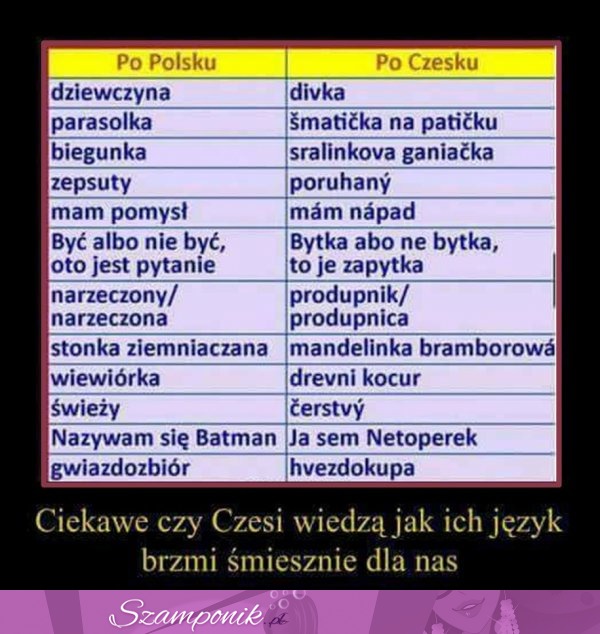 CZESKI JĘZYK! Najlepszy rozweselacz  ;D Ciekawe czy wiedzą jak ich język brzmi dla nas ŚMIESZNIE!