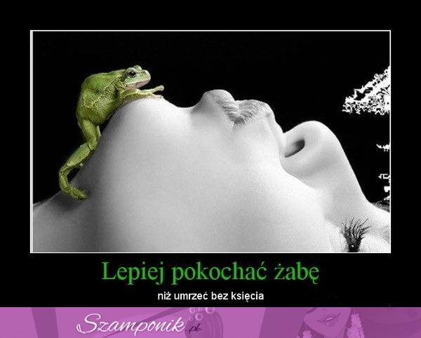 Lepiej pokochać...