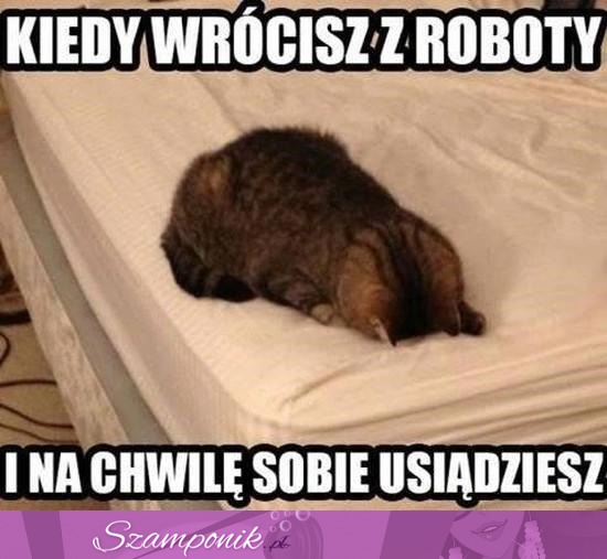 Kiedy wrócisz z roboty