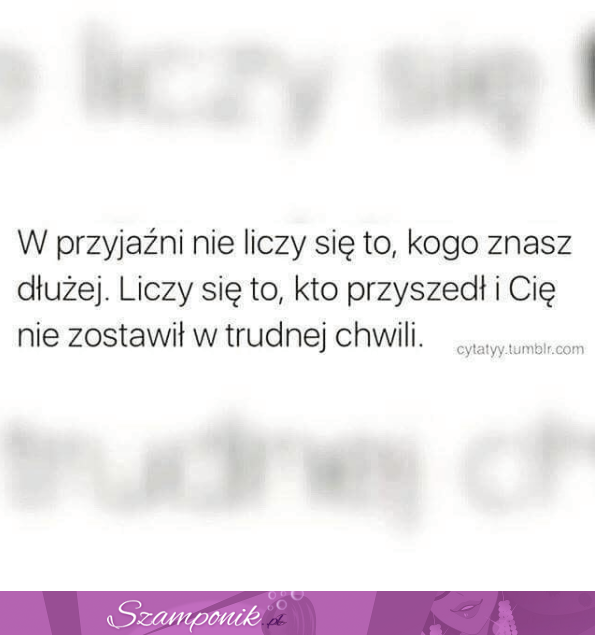 To jest przyjaźń...