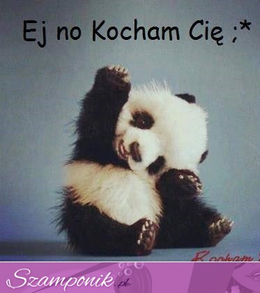 Kocham Cię <3