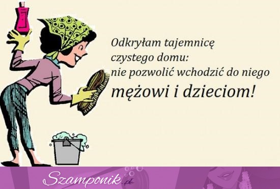 Odkryłam tajemnicę czystego domu