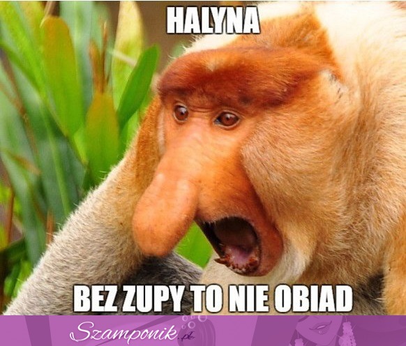 Halyna!