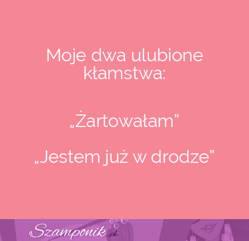 Moje dwa ulubione kłamstwa