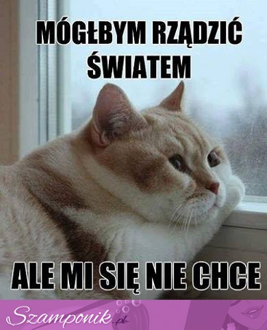 Rządzić światem