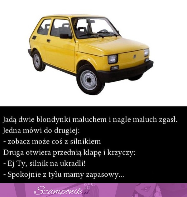 Dwie BLONDYNKI jadą MALUCHEM-  jak zwykle dają czadu! MEGA KAWAŁ