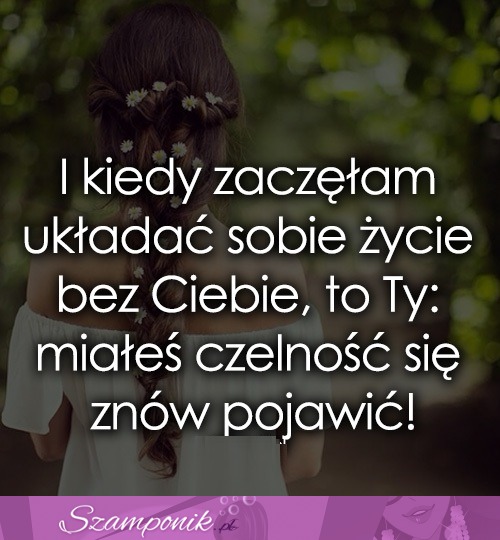 Miałeś czelność się znowu pojawić!