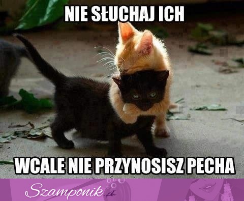 Nie słuchaj ich ;)