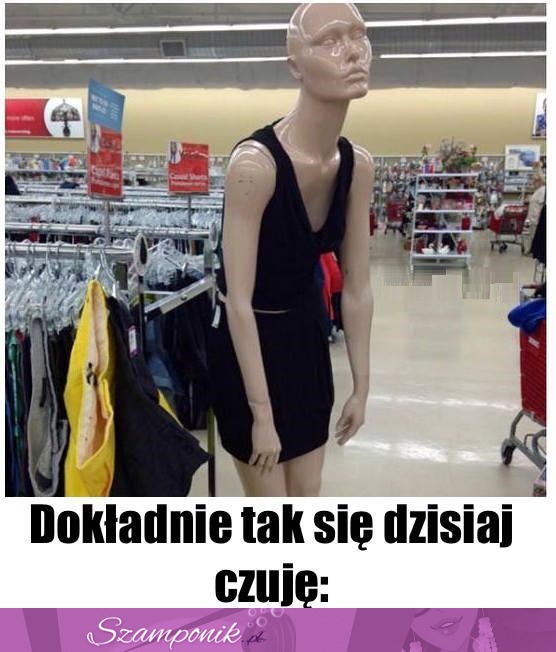 Tak się dzisiaj czuję ;)