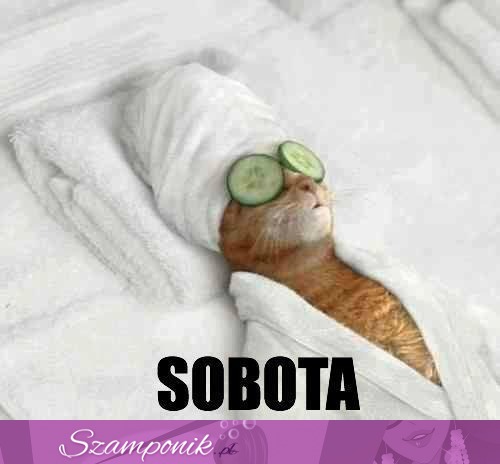 Sobota <3