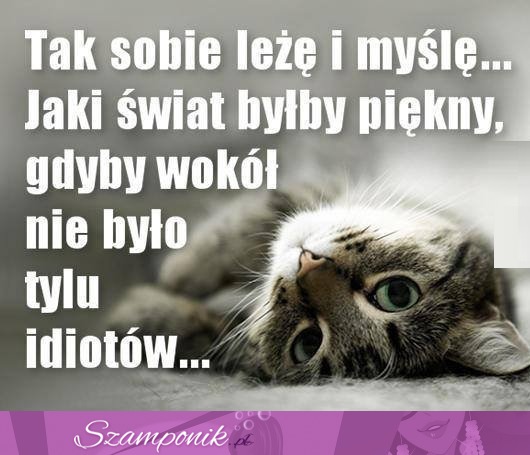 Tak sobie leżę i myślę... Jaki świat byłby piękny...