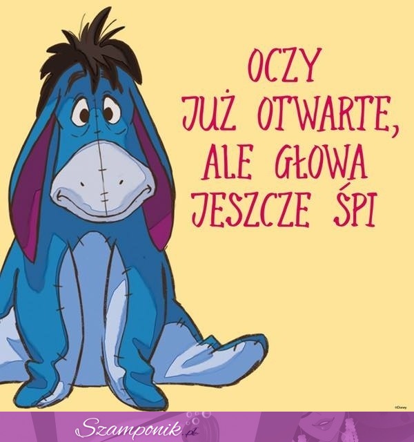 Oczy już otwarte! ;)