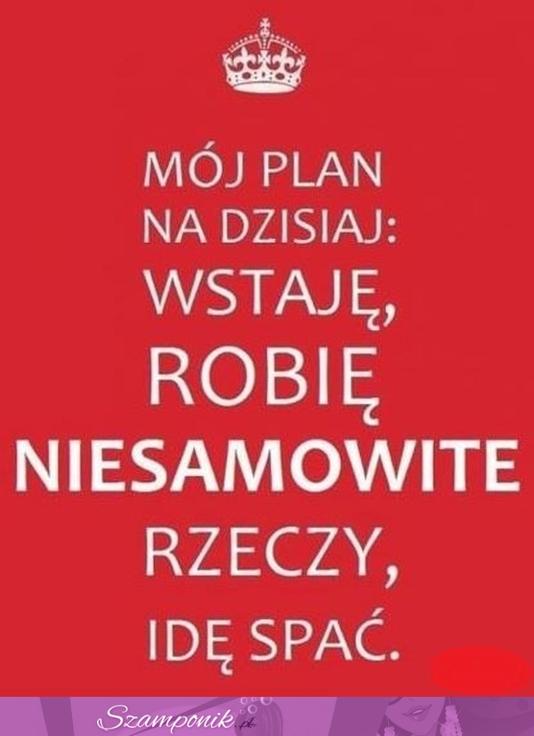 Mój plan na dzisiaj: