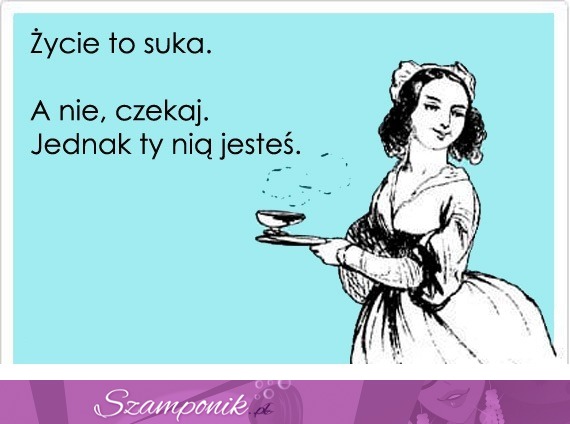 Życie to suka