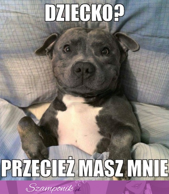 Po co ci dziecko