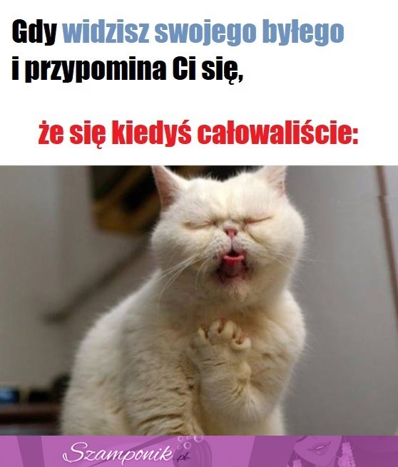 Co ja zrobiłam