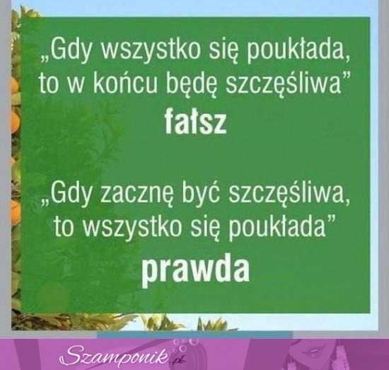 Fałsz- prawda