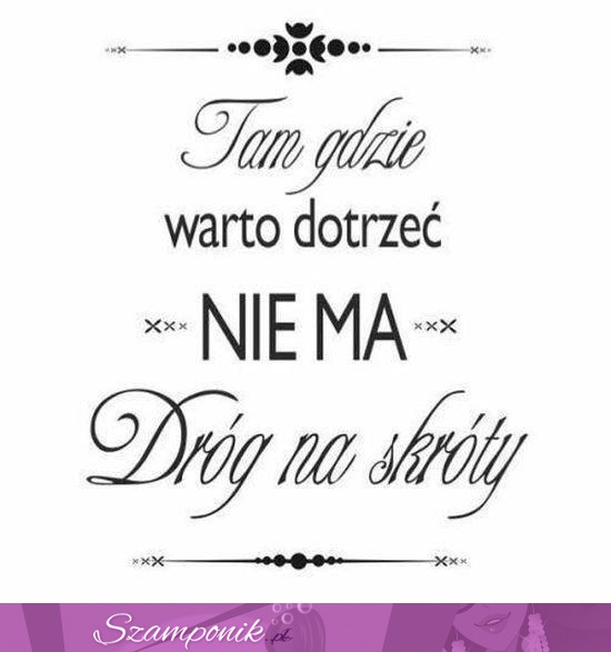 Tam gdzie warto dotrzeć