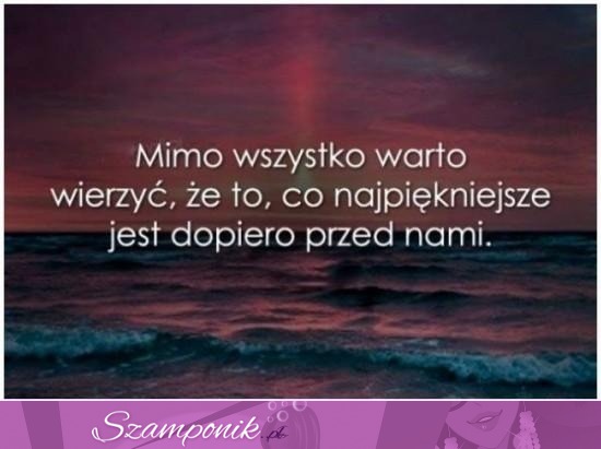 Mimo wszystko warto...