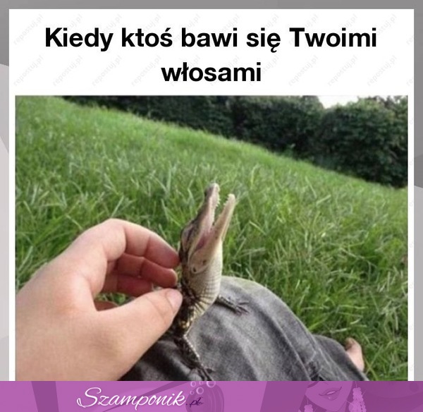 Kiedy ktoś bawi się Twoimi włosami