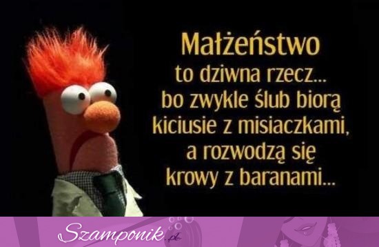 Tak wygląda małżeństwo