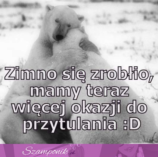 Zimno się zrobiło...