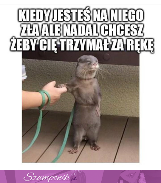 Kiedy jesteś na niego zła