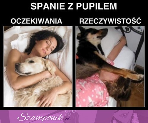 Spanie z pupilem