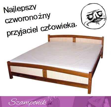 Najlepszy przyjaciel