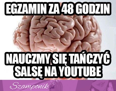 Egzamin za 48h