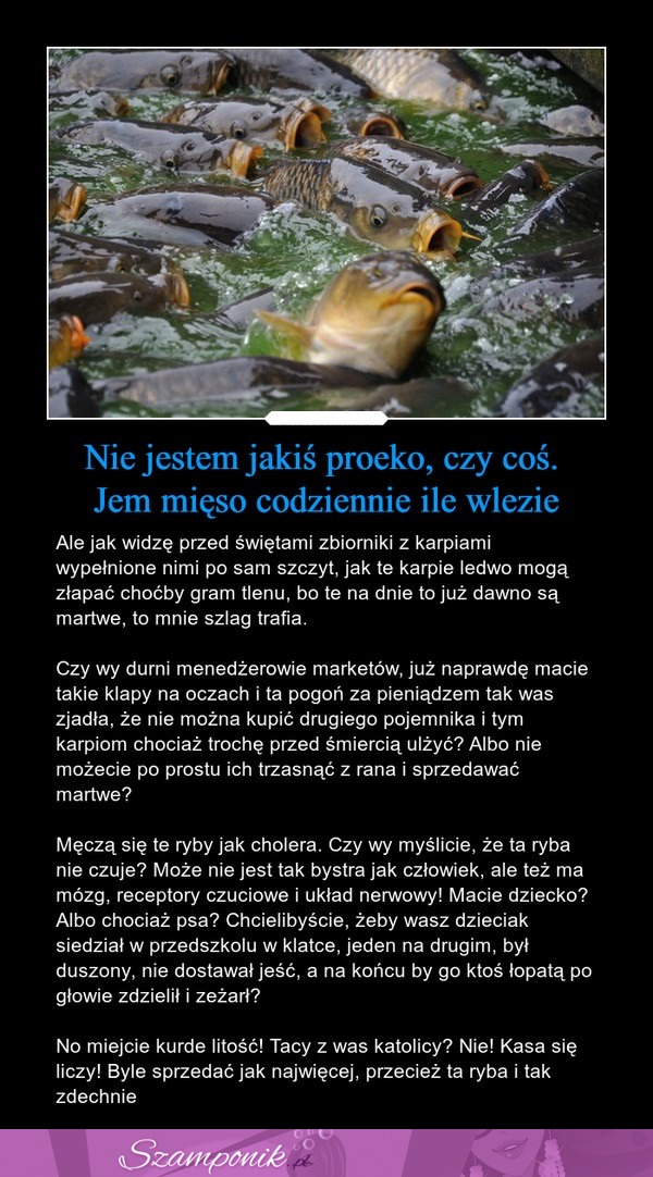 Zbiornik z karpiami wypełniony po sam szczyt... Litości!