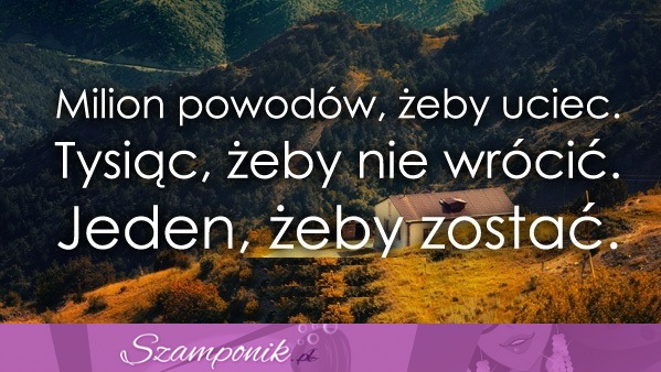 Jeden żeby zostać