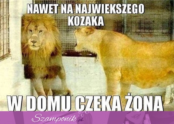 Nawet na największego kozaka czeka żona ;D