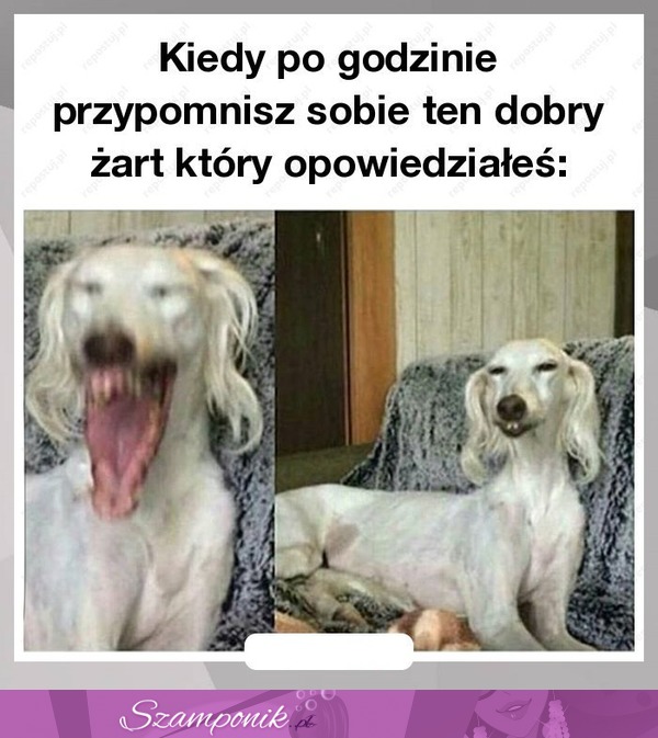 To było dobre!