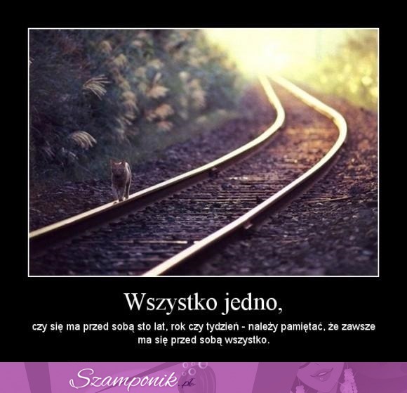 Wszystko jedno