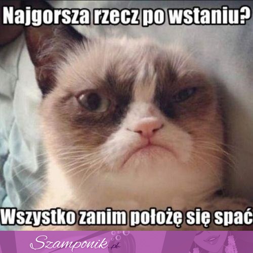 Najgorsza rzecz po wstaniu ;D