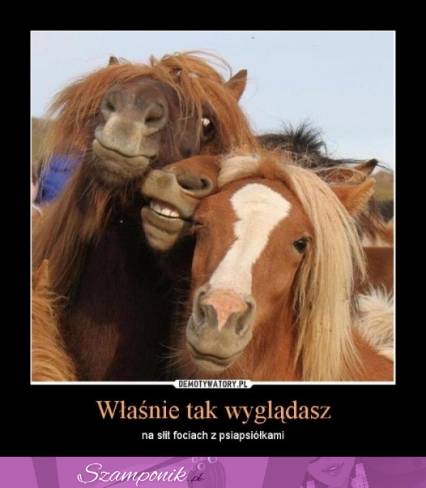 Właśnie tak wyglądasz... ;)