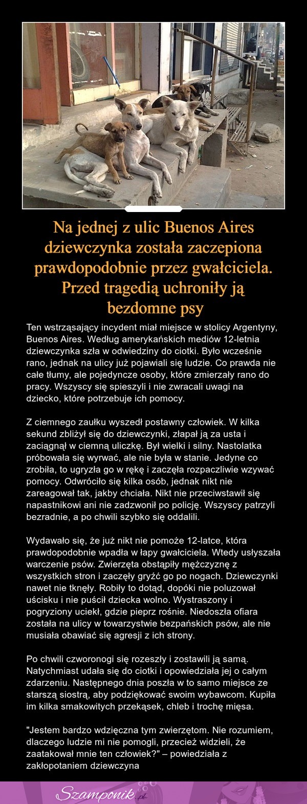 Prawdopodobnie doszłoby do gwałtu tej dziewczynki, gdyby nie uratowały ją psy!