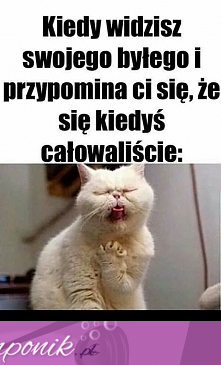 Gdy widzisz byłego...