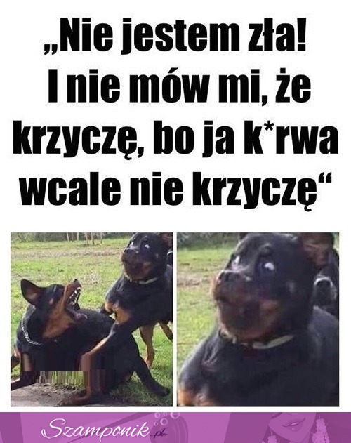 Jestem oazą spokoju ! ;D