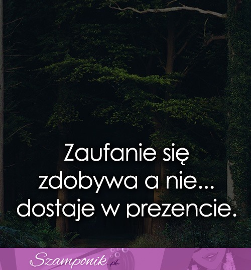 Zaufanie się zdobywa a nie...